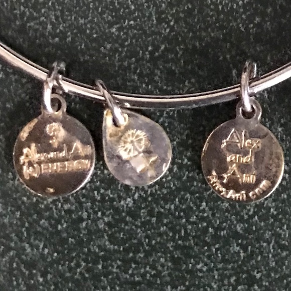 Alex and Ani Silver Expandable Wire Bracelet - Picture 7 of 15